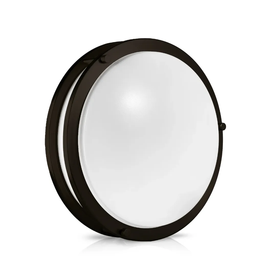 18" Double Ring Ceiling Light Black