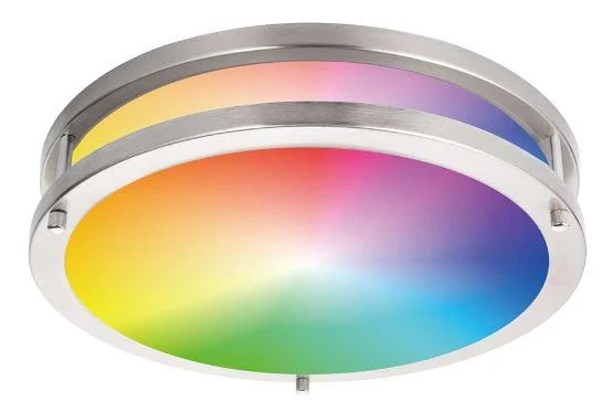 14" RGB Ceiling Light