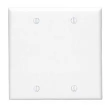 2-G Blank Wall Plate