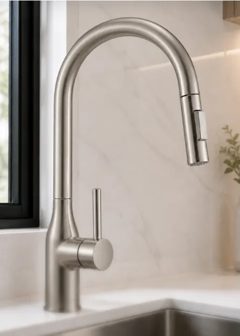 F01BN Kitchen Faucet