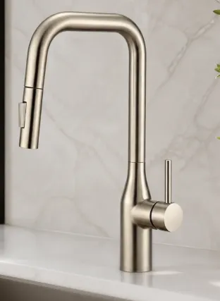 F03BN Kitchen Faucet