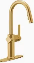 Moen Joric 87492BG