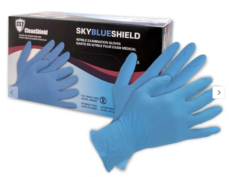 Disposable Gloves Pack 100pcs