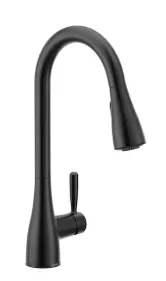 Moen Maureen Kitchen Faucet Black 87493BL
