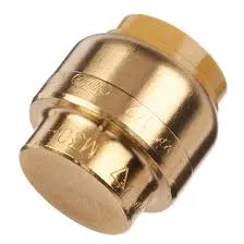 3/4" Sharkbite End Cap