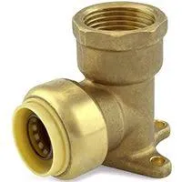 Shower Head Pushin (Drop Ear Elbow)