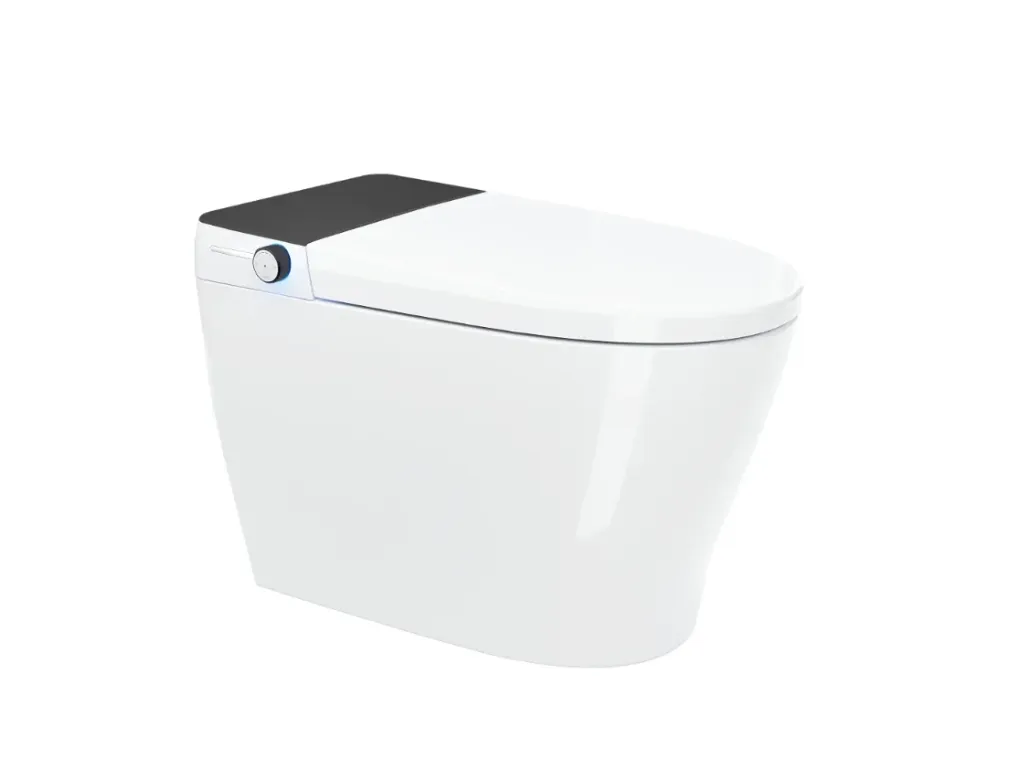 CANARY Integrated Smart Toilet - SMT-DQ100