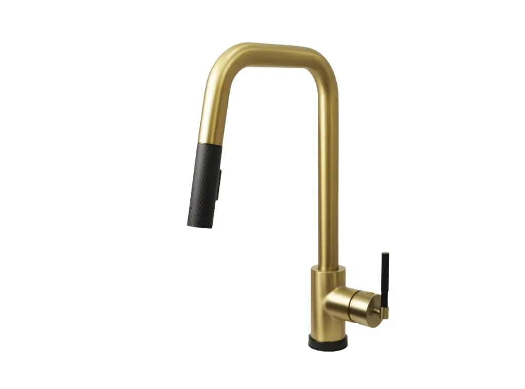 CASCADE Single handle Kitchen Faucet - F23200BG03