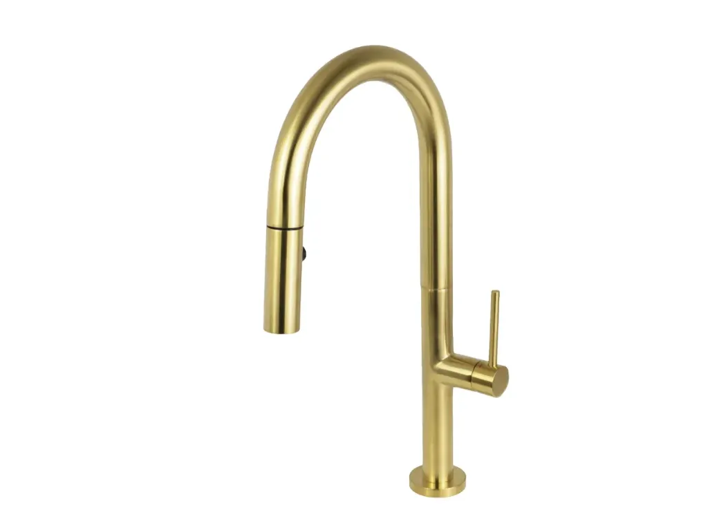ELEGANTE Kitchen Faucet - F23304BG
