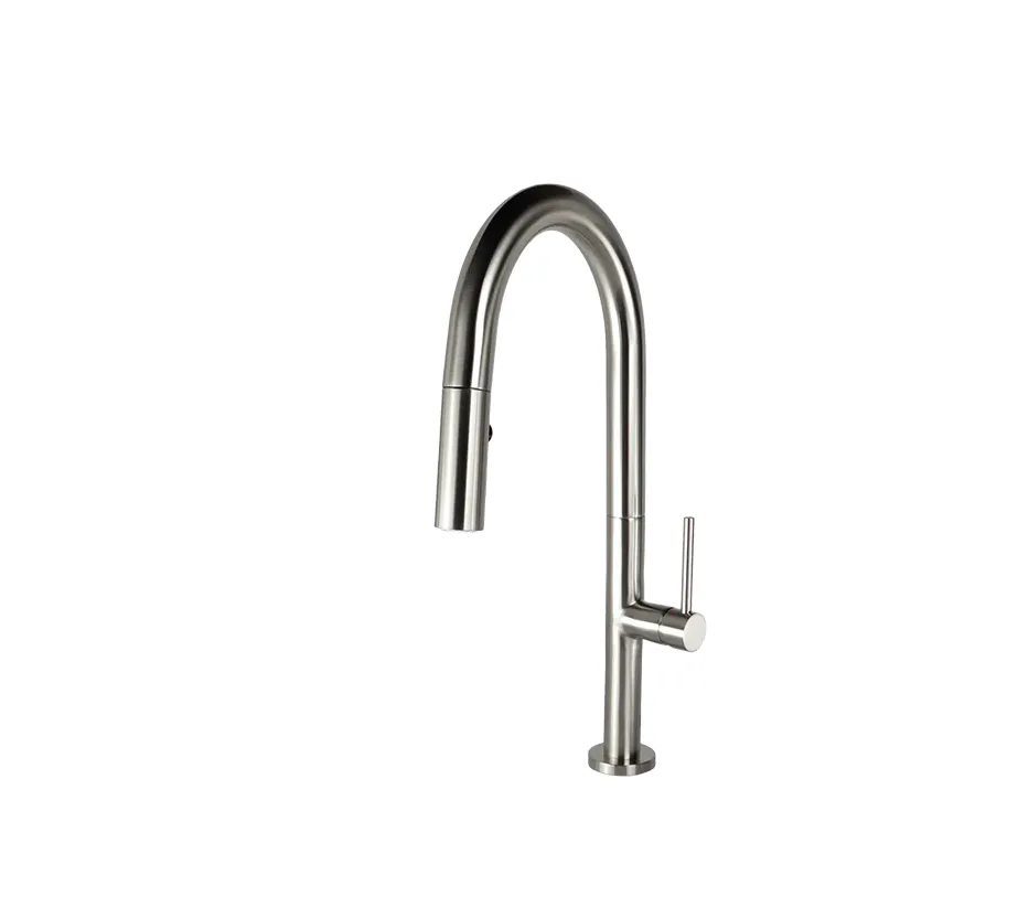 ELEGANTE Kitchen Faucet - F23304BN