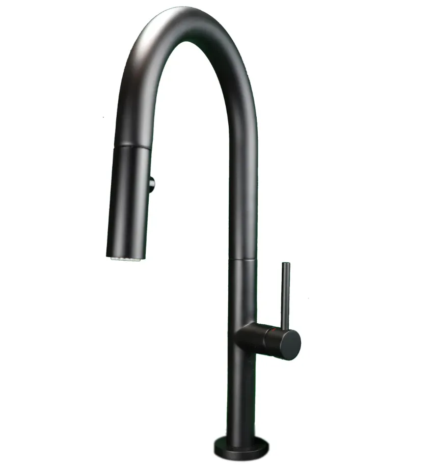 ELEGANTE Kitchen Faucet - F23304MB