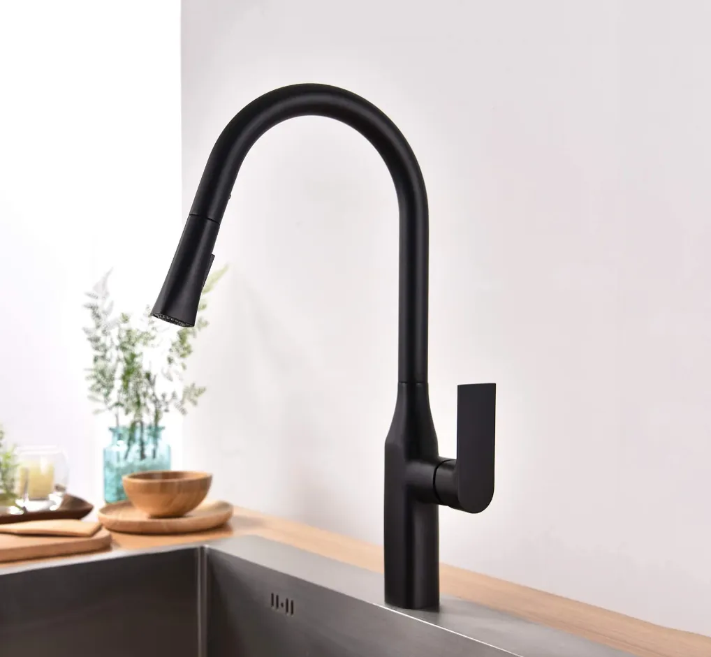 TIMELYSS Kitchen Faucet - F23134MB