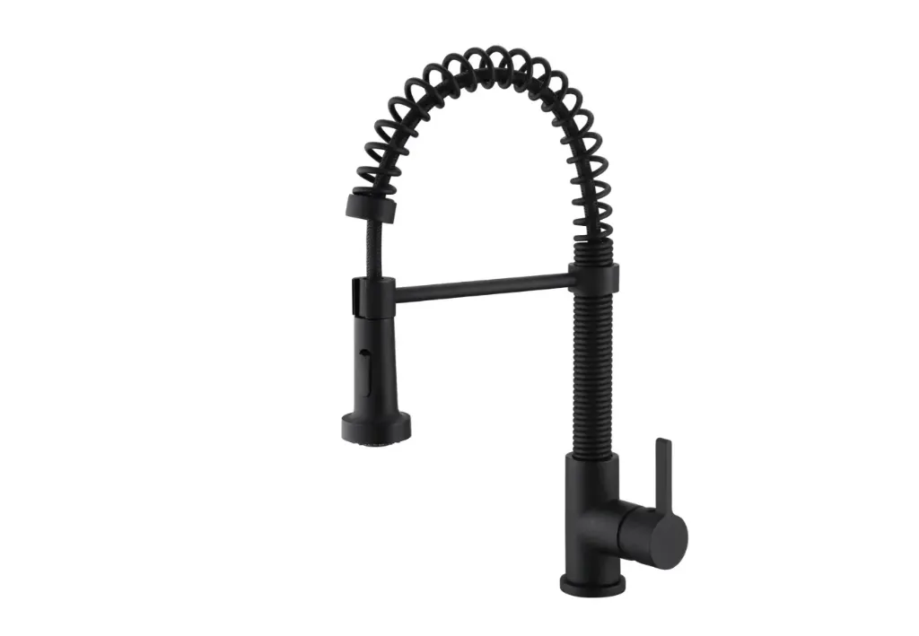 EDISON Kitchen Faucet - F25133MB